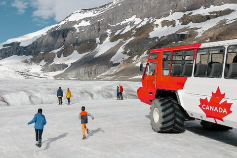 Parques Nacionales de Banff y Jasper: Excursión de un día con servicio de recogida