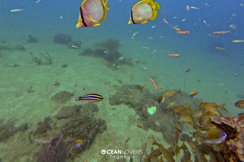 Tayrona: Caribbean Snorkeling Boat Trip with a guide