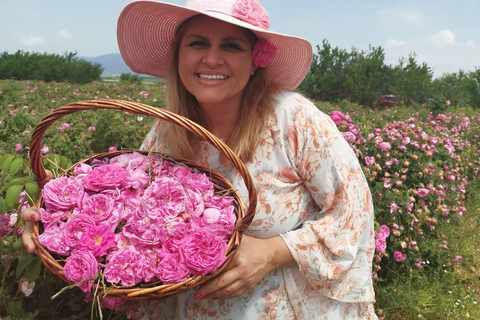 2026 Kazanlak Rose Festival Group Tour Accommodation in triple rooms