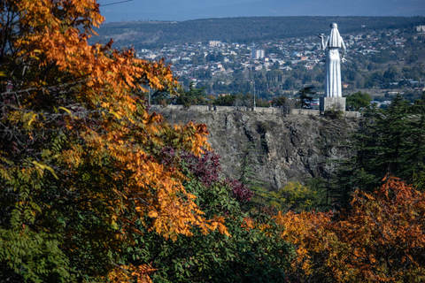 Tbilisi: Old & New City Guided Tour with 15 Tastings & Wine Private