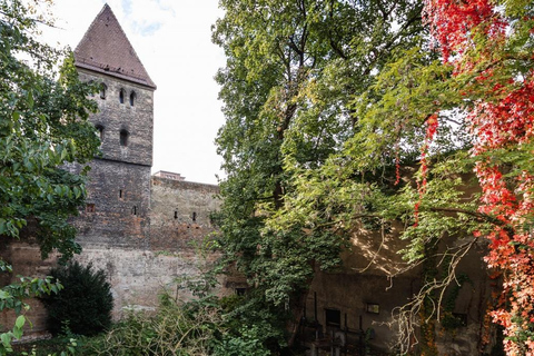 Monachium: Augsburg Zabytki wpisanego na listę UNESCO CityTour Augsburg