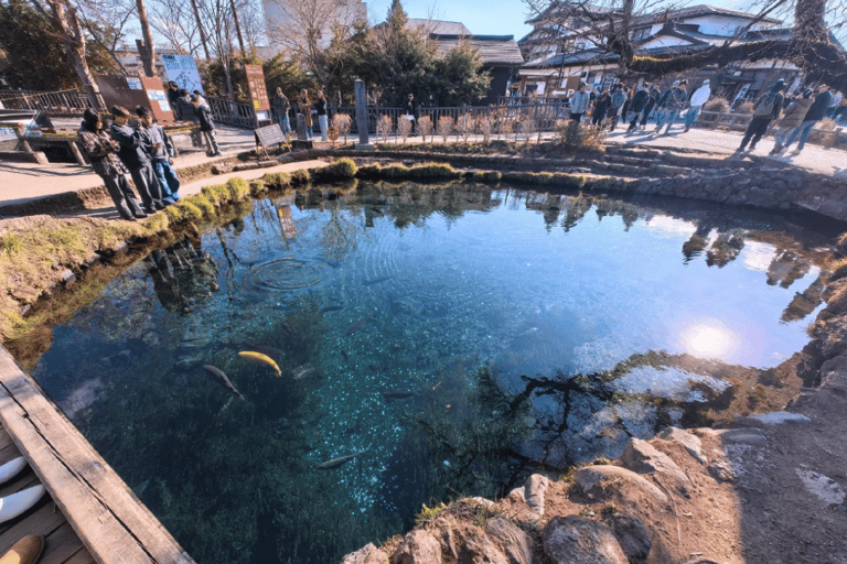 Tokyo: Mt. Fuji & Lake Kawaguchi Small Group Tour - 6 Spots Hotel Pickup Option