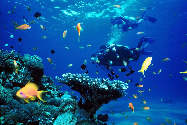 Marmaris: Guided Scuba Diving Experience with Hotel Transfer