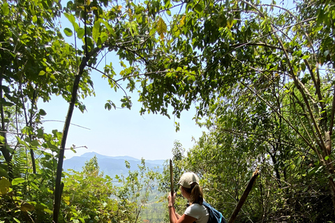 Tedo 7 Waterfalls Peak Adventure – Knuckles Mountain Range