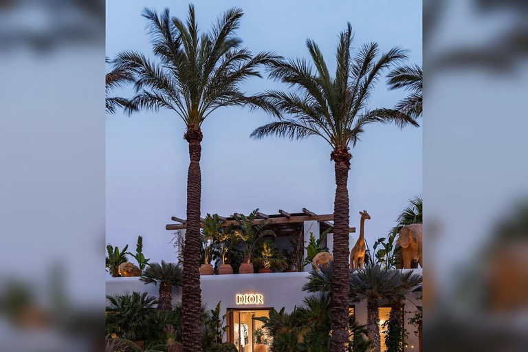 Private Tour: Customize Your Perfect Day in Mykonos