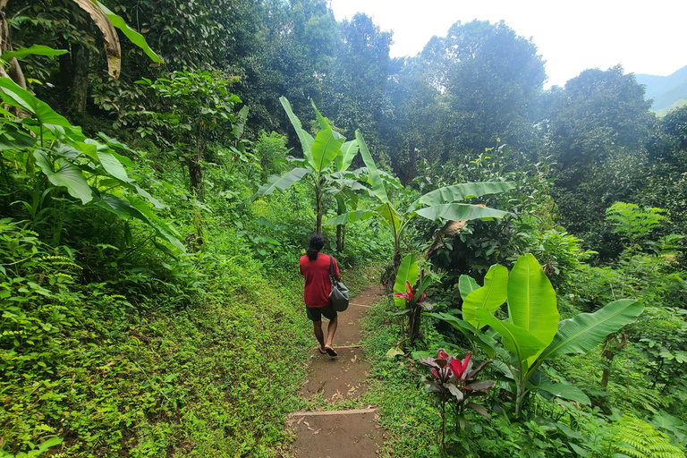 Bali Hidden Trekking, Wasserrutsche, Sekumpul, &amp; Fiji WasserfallAbholung vom Hotel und Rücktransfer zum Hotel inbegriffen