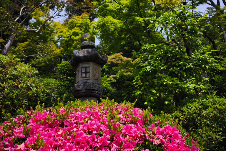 Kyoto: FUN Calligraphy Experience – Launch Special! Private Authentic Shodo Experience near Ninnaji Temple