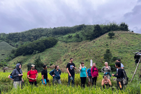 Chiang Rai: Jungle Adventure-Group Trekking & Bamboo Cooking