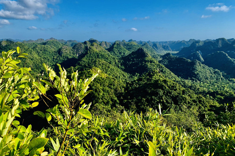Cat Ba: Half Day Trekking to Visit Cat Ba National Park