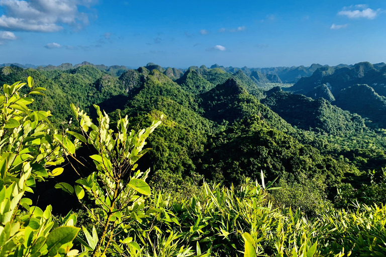 Cat Ba: Half Day Trekking to Visit Cat Ba National Park