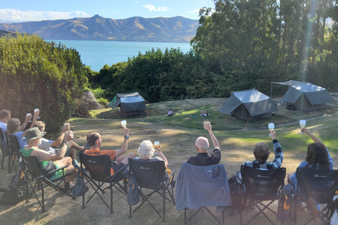 Nya Zeeland: Guidad 17-dagars South Island Tour med camping