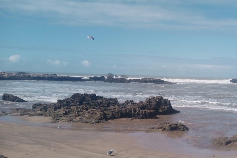 Passeio de um dia pela cidade de Essaouira saindo de Marrakech