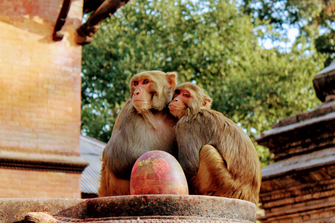 Privébezichtiging van erfgoedlocaties in Kathmandu voor een hele dag