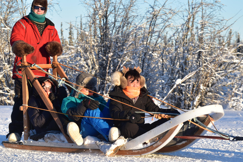 Fairbanks: Dog Sledding and Mushing Experience