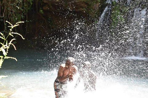Nairobi: Caminhada pela Floresta Ngare Ndare e Canopy WalkNairobi: Caminhada pela Floresta Ngare Ndare e Passeio pela Copas das Árvores
