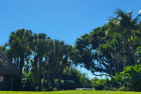 Everglades: boat tour with transportation& entrance included