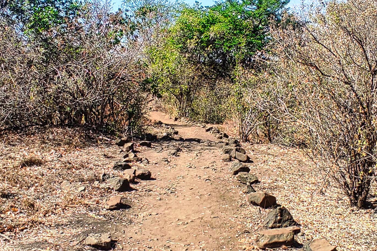 Guided Hike under the Bridge into the Zambezi Gorge Victoria Falls: Gorge Hike under the Bridge