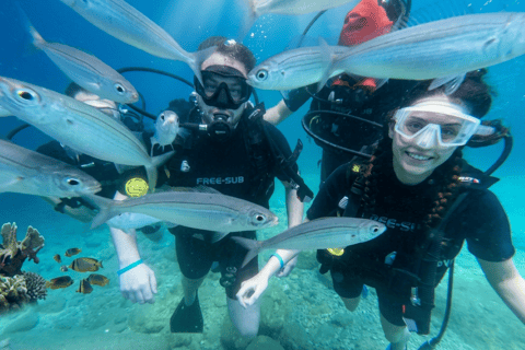 Alanya Scuba Diving Experience with Lunch & Hotel Transfer Alanya:DIVING WITHOUT TRASNFER