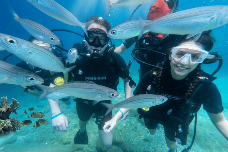 Alanya Scuba Diving Experience with Lunch & Hotel Transfer Alanya:DIVING WITHOUT TRASNFER