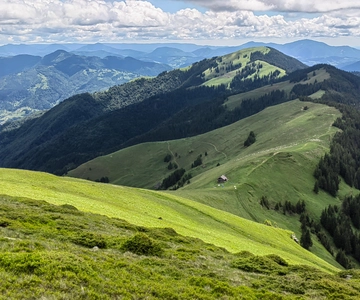 Cluj Napoca: Rodnei Mountains Full-Day Guided Hiking Tour