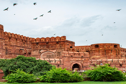 Desde Delhi : Excursión guiada de un día al Taj Mahal y al Fuerte de AgraExcursión sólo con coche y guía