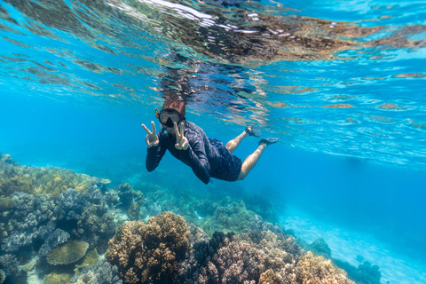 Sharm El Sheikh: Tour di Ras Mohamed con snorkeling e lago magico