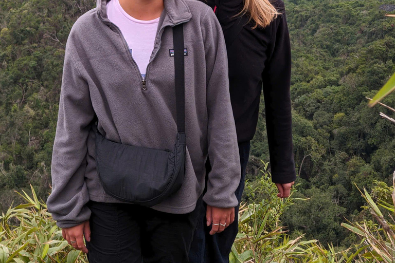 Half Day Hiking to Cat Ba National Park with a Guide