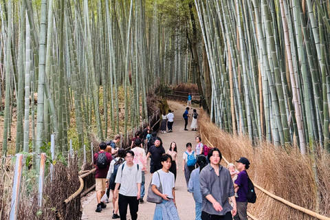 Tour privato di un giorno a Kyoto