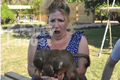 Monkey House VIP – Experiencia exclusiva en Punta Cana