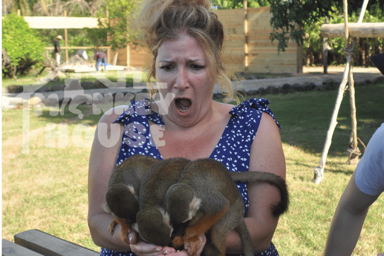 Monkey House VIP – Experiencia exclusiva en Punta Cana