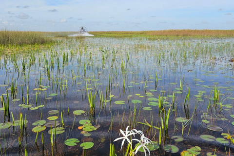 Everglades: em barco de propulsão plana com transporte