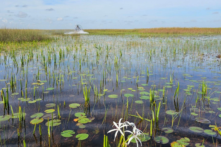 Everglades: auf flachem Motorboot mit Transport