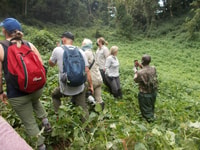 3 giorni Bwindi Gorilla trekking - Hizvo