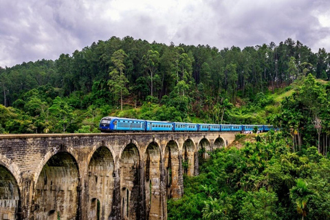 Scenic Highland Journey: Private Transfer from Kandy to Ella