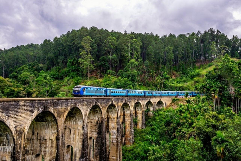 Scenic Highland Journey: Private Transfer from Kandy to Ella