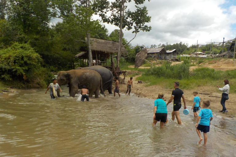 The Must-Do: Authentic Elephant & Village Life in Chiang Mai