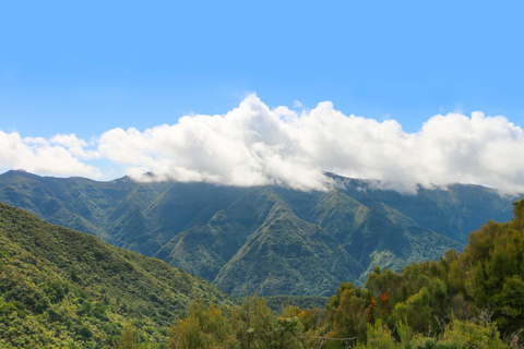 Madeira: Fanal and Seixal Beach Guided Tour
