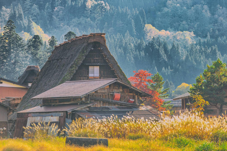 Nagoya: Winter Trip Hida Takayama and Shirakawa-go UNESCO