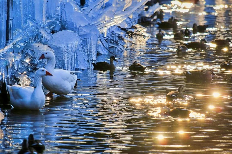 釜山：国民疗养公园和清松私人出租车之旅国民疗养公园和比叟山休闲森林