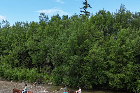 Kraków: Zakopane Horse ride & Thermal Baths Day Trip