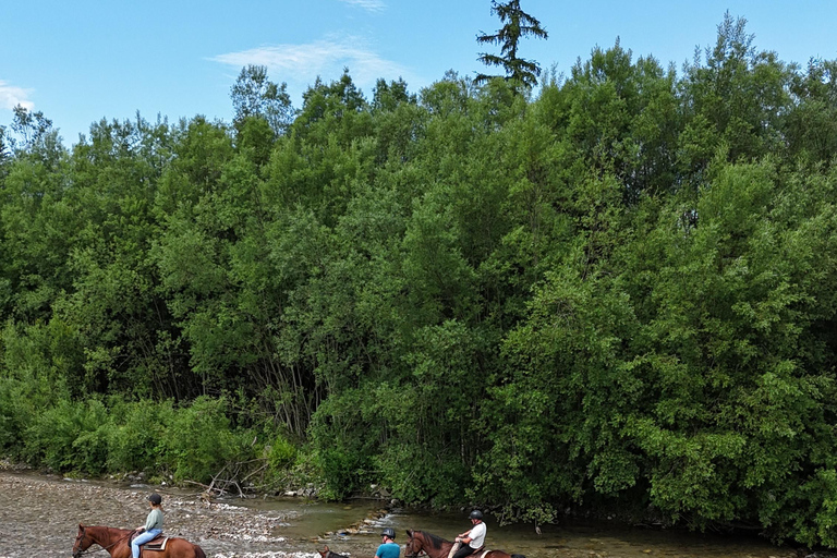 Kraków: Zakopane Horse ride & Thermal Baths Day Trip