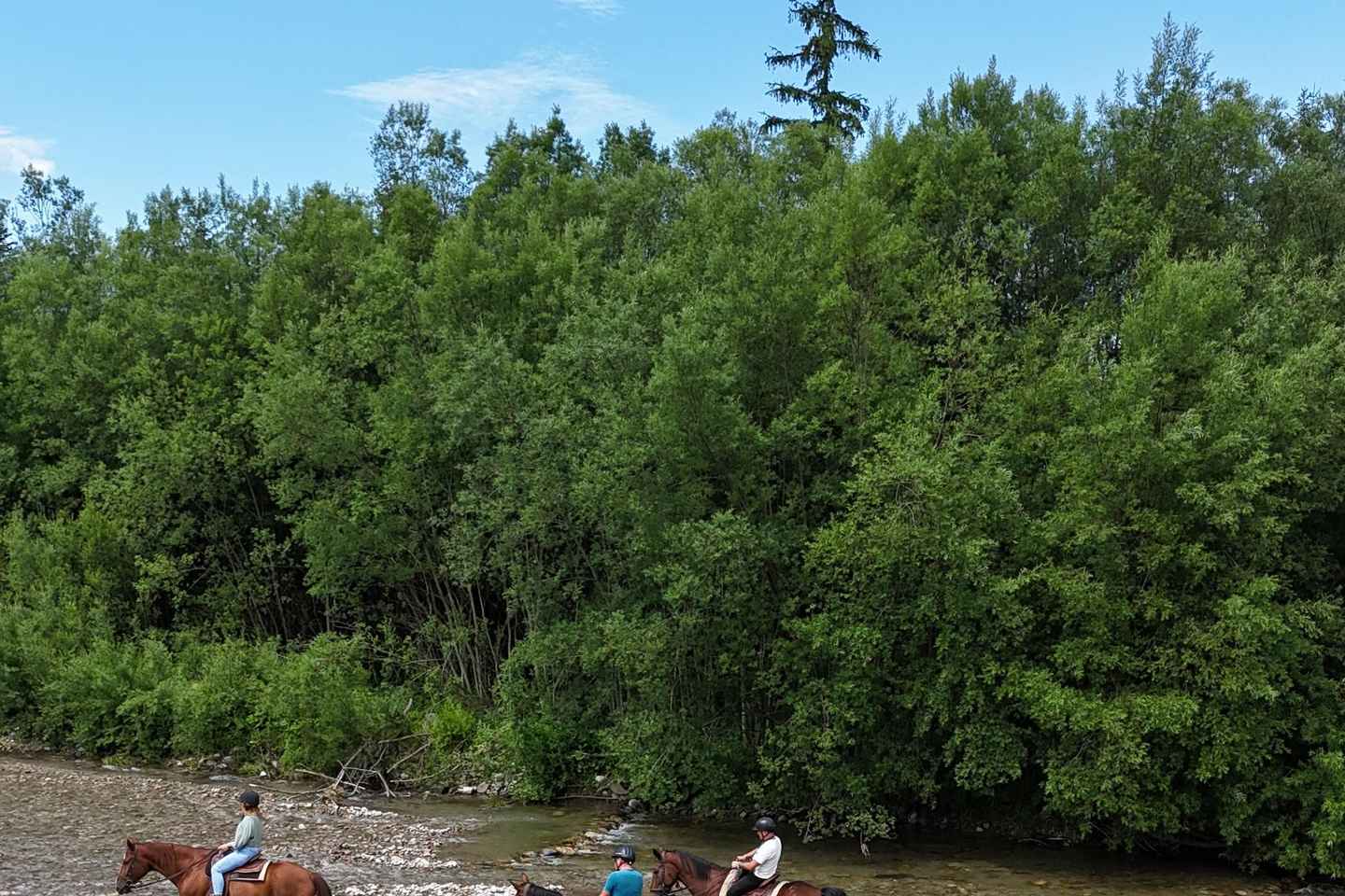 Kraków: Zakopane Horse ride & Thermal Baths Day Trip