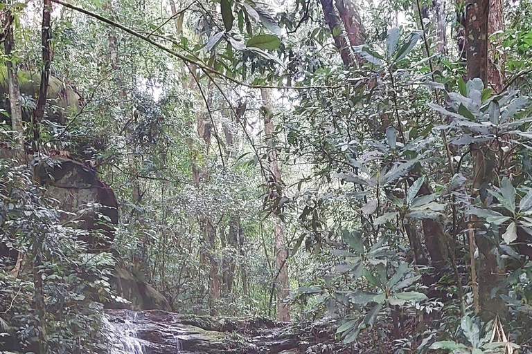 Caves and Waterfalls of Tijuca Forest - by Alan Denis