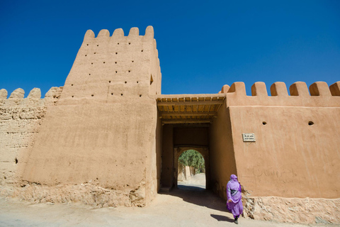 Agadi: Excursión de un día al desierto del Sahara con almuerzo