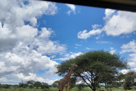 Zanzibar: Classic Comfort Safari, Tarangire & Ngorongoro Arusha: Classic Comfort Safari, Tarangire & Ngorongoro