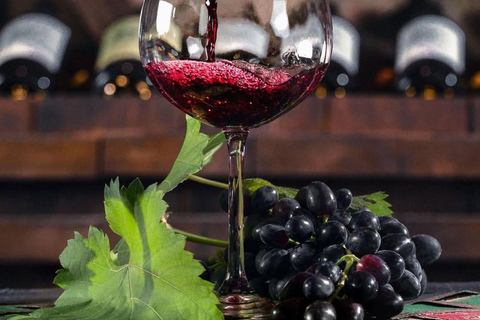 Tbilisi: Georgian Dinner, Wine & Folk Show with Pickup