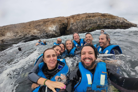 Lima: Palomino Schnellboot-Tour &amp; Schwimmen mit Seelöwen