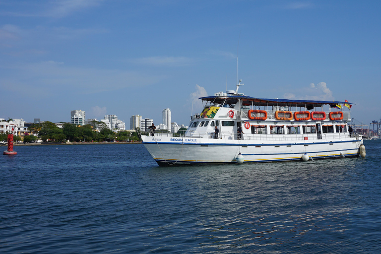 Carthagène : excursion en bateau de nuit avec dîner et open barCARTAGENA : Excursion en bateau de nuit blanche avec dîner et open bar