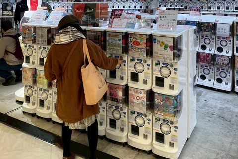 Tokyo Night Walk: Shibuya & Shinjuku Hidden Alleys Private Tour