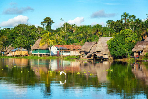 Iquitos | 2 dagar i Amazonas, världens naturliga underverk